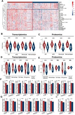 Stratification From Heterogeneity of the Cell-Death Signal Enables Prognosis Prediction and Immune Microenvironment Characterization in Esophageal Squamous Cell Carcinoma